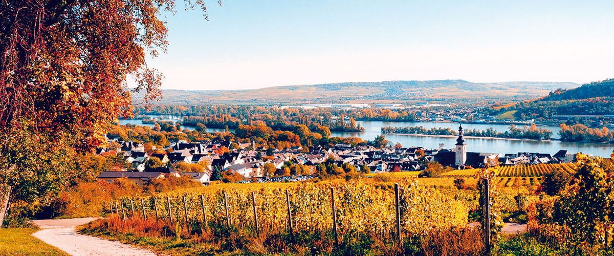 A view towards Rüdesheim 